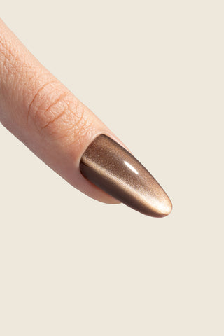 Cat eye silk gel polish 14