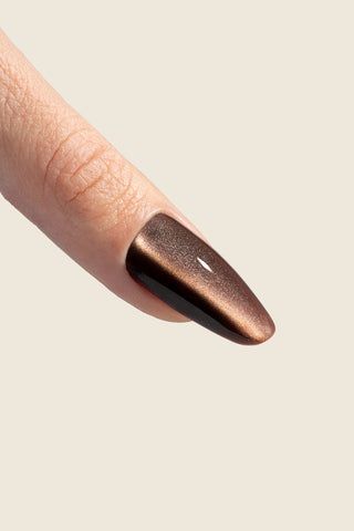 Cat eye silk gel polish 16