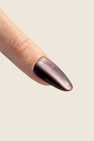 Cat eye silk gel polish 17